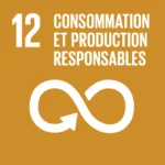 ODD 12 : Consommation et production responsables