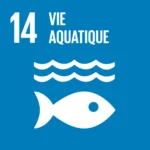 ODD 14 : Vie aquatique