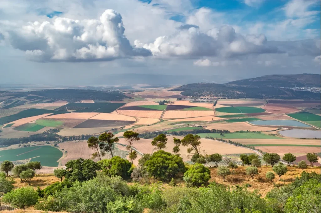 Agriculture en Israël