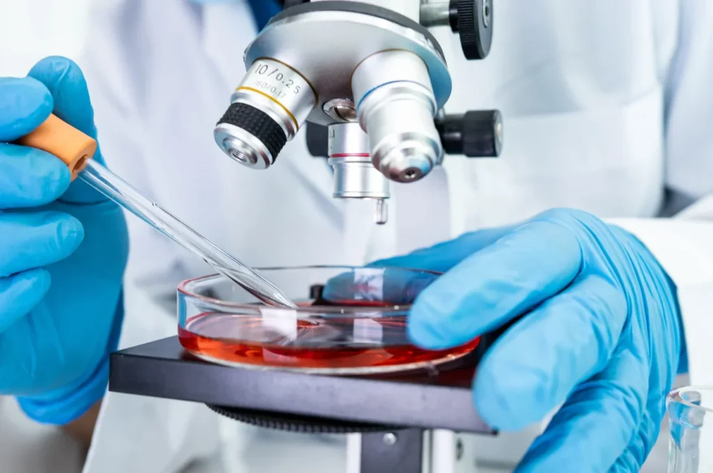 Des mains manipule une boîte de Petri et une pipette sous un microscope